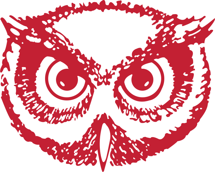 Temple Owls 1983-1996 Secondary Logo diy DTF decal sticker